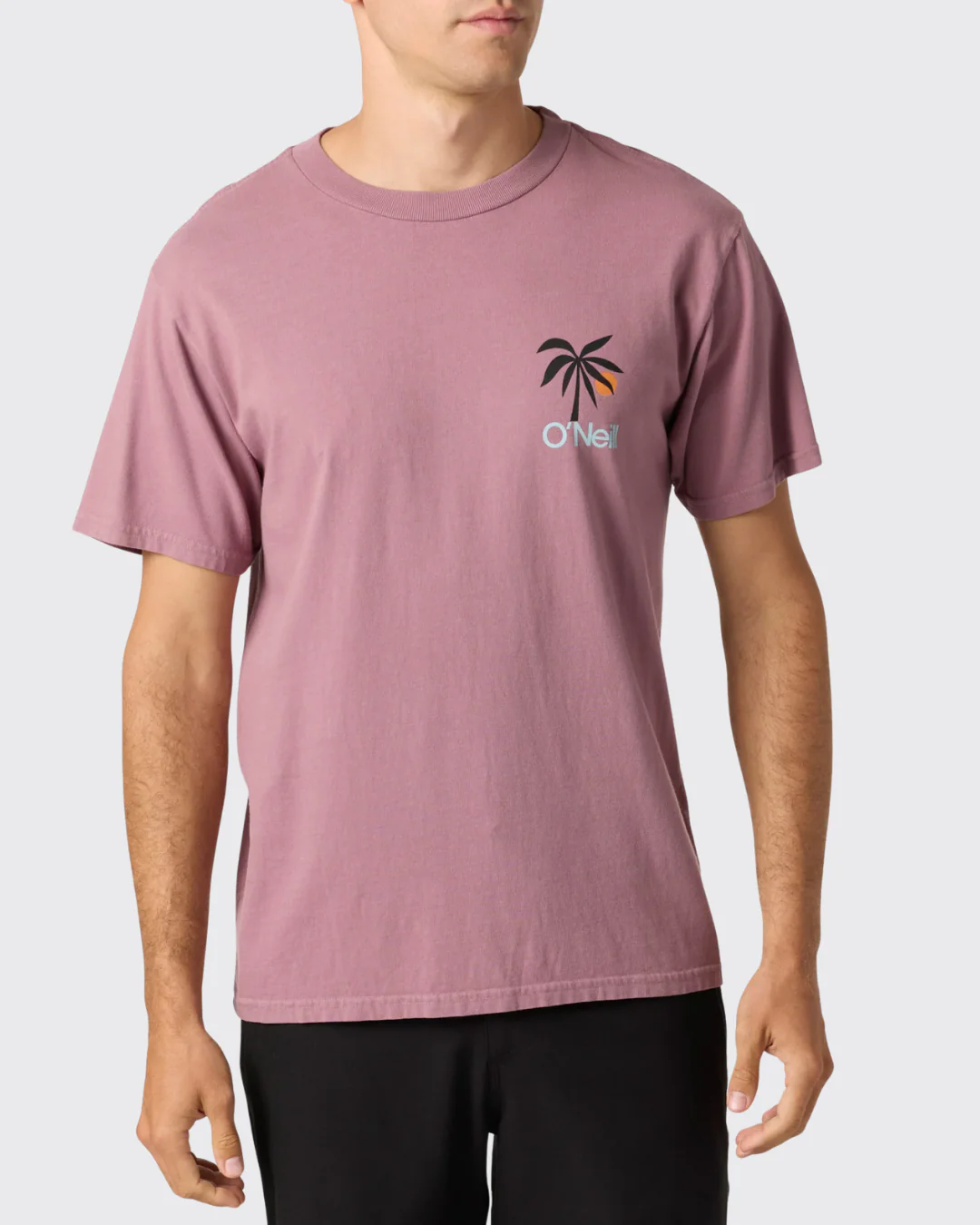 O'Neill Og Dusk T-Shirt